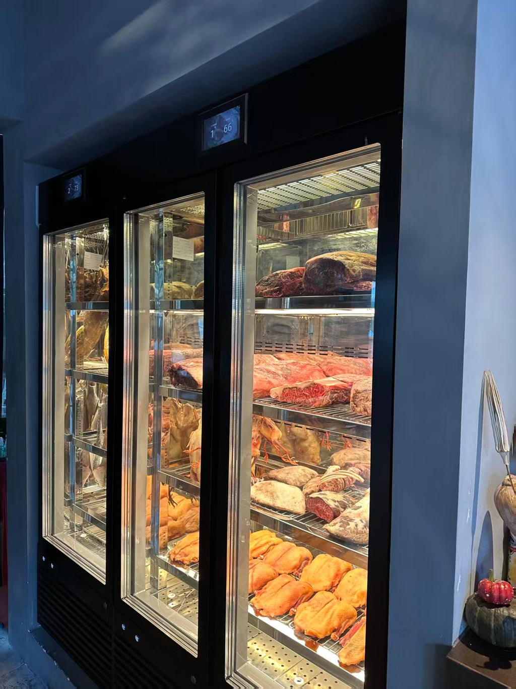Dry Aging Cabinet
