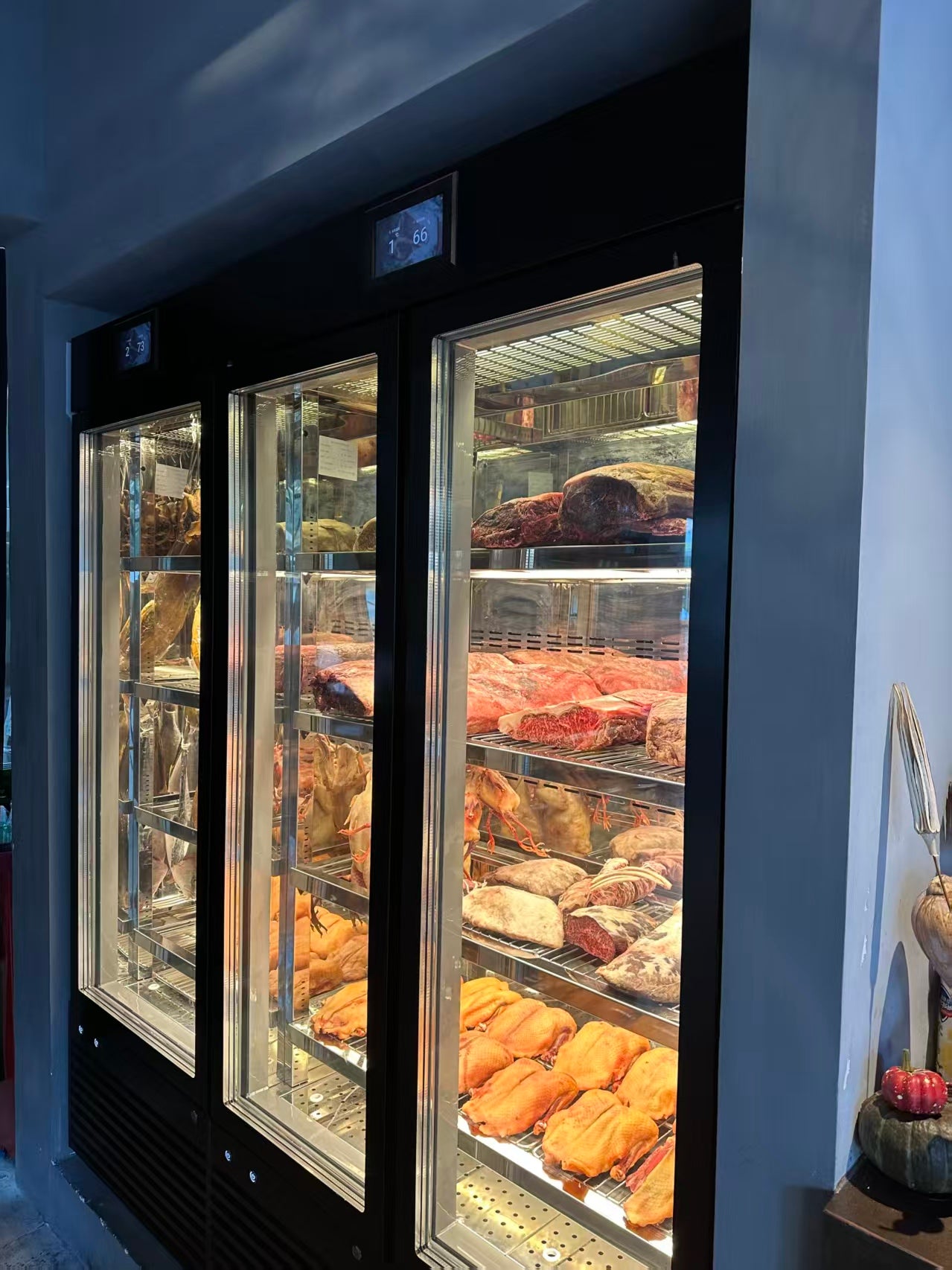 Dry Aging Cabinet
