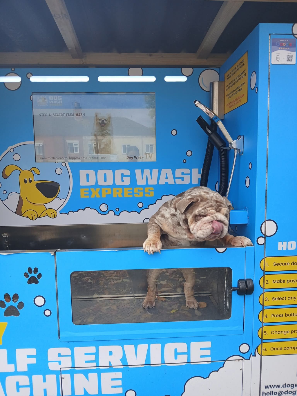 PETCLEANINGMACHINE(French)