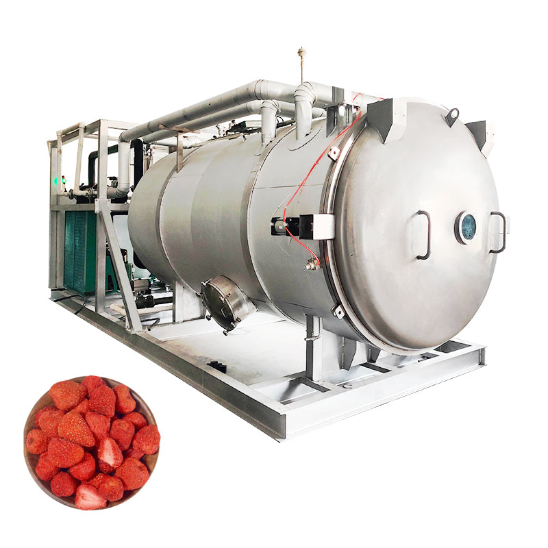 Vacuum Freeze  Drying Machine